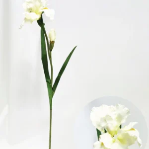 Vara flor Iris